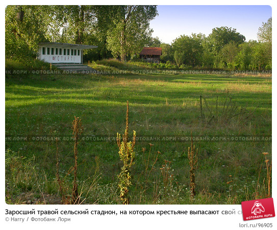 0000096905-preview.jpg