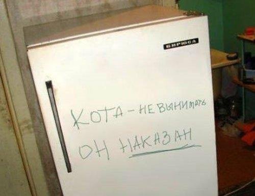 00003.jpg