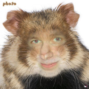 001.jpg