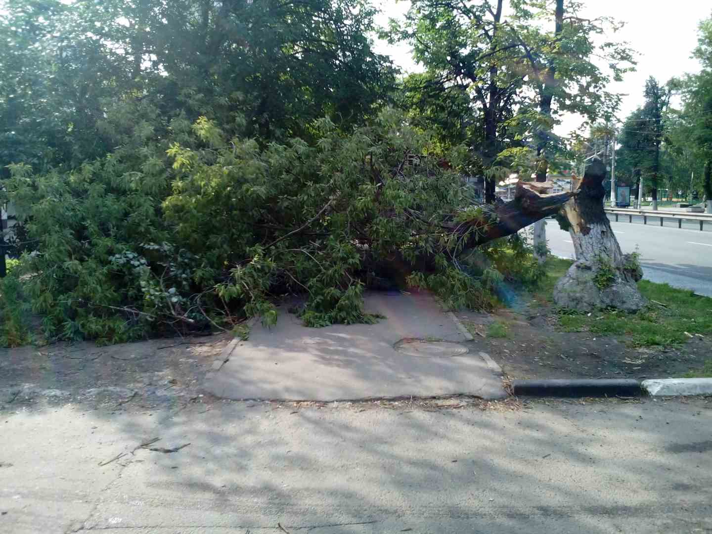 00217_14.07.2016.jpg