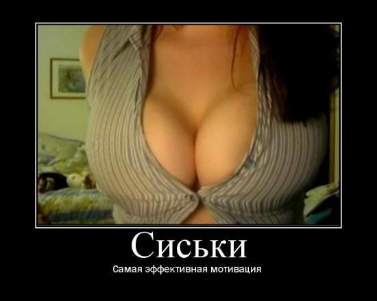 006_pics.jpg
