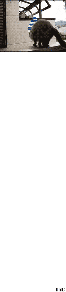01.gif