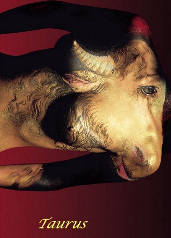 02_taurus.jpg