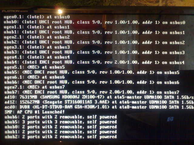 03012011039.jpg