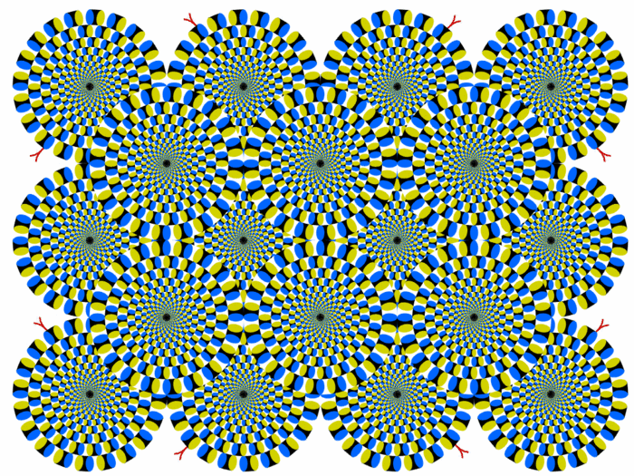 03.gif