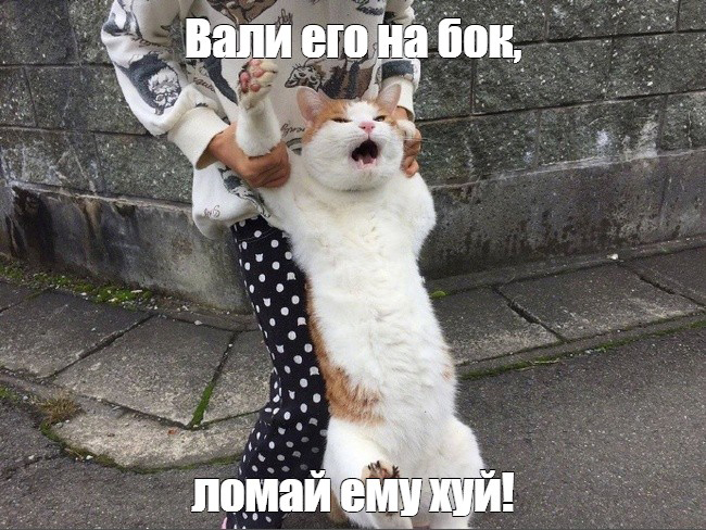 08286bd4b05a8275510326f6cd1f065d.jpg
