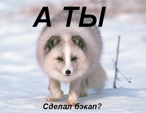 0c566b38724c.jpg