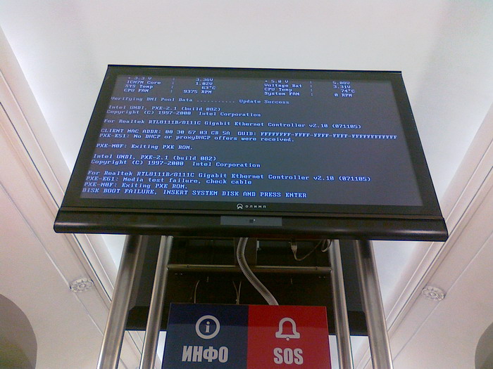 10062011135_resize.jpg