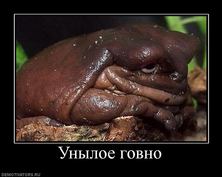 105178_unyiloe-govno.jpg