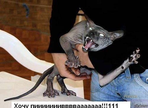 1111.JPG
