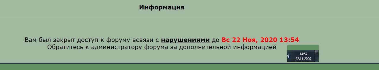 1111.jpg