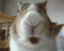 1112580.gif