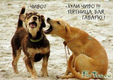 1208542412_funtoo_ru_1.jpg
