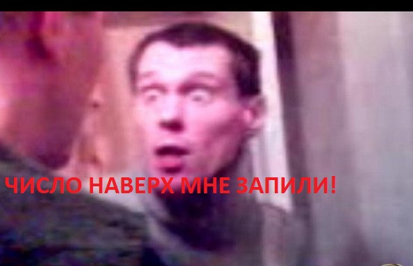 1213313356_nark.jpg