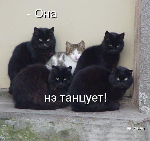 1222616878_3.jpg