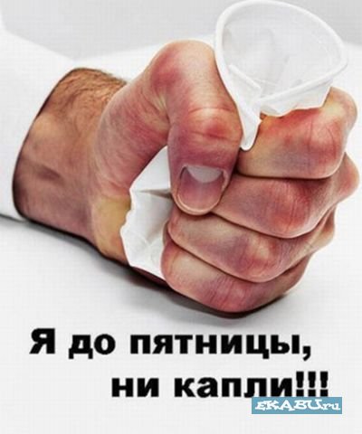 1223586498_pyatnivn.jpg