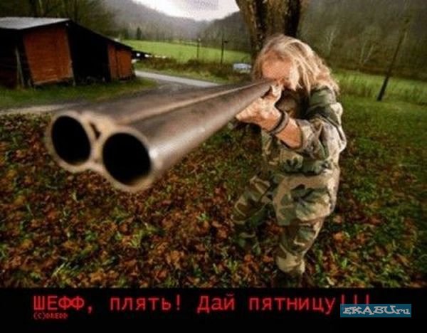 1223586526_pyatniw5.jpg