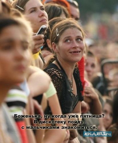 1223586538_pyatniw0.jpg