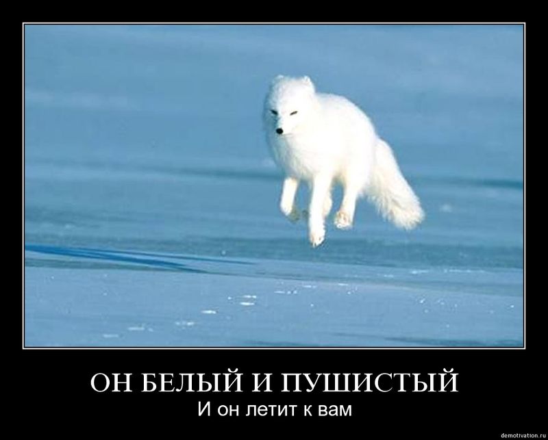 1229548473_072_pics.jpg