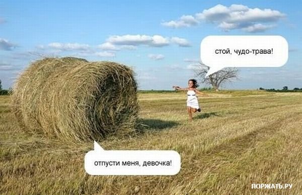 1237331092_3.jpg