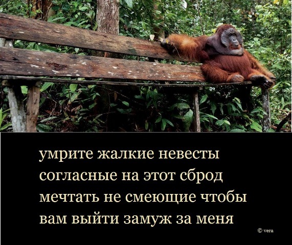 12478844.4f7ffui66z.900x1000.jpg