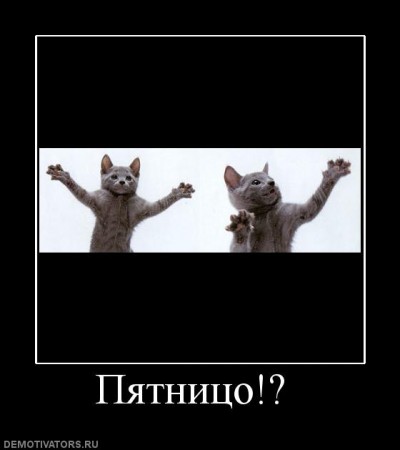 1248333844_206043_pyatnitso.jpg