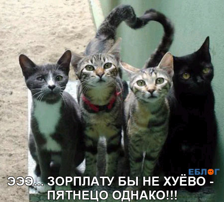 125178540402030710.jpg