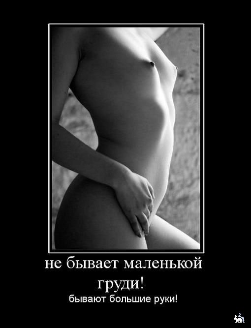 1263470319_nx0ieo9we09ro9hr.jpg
