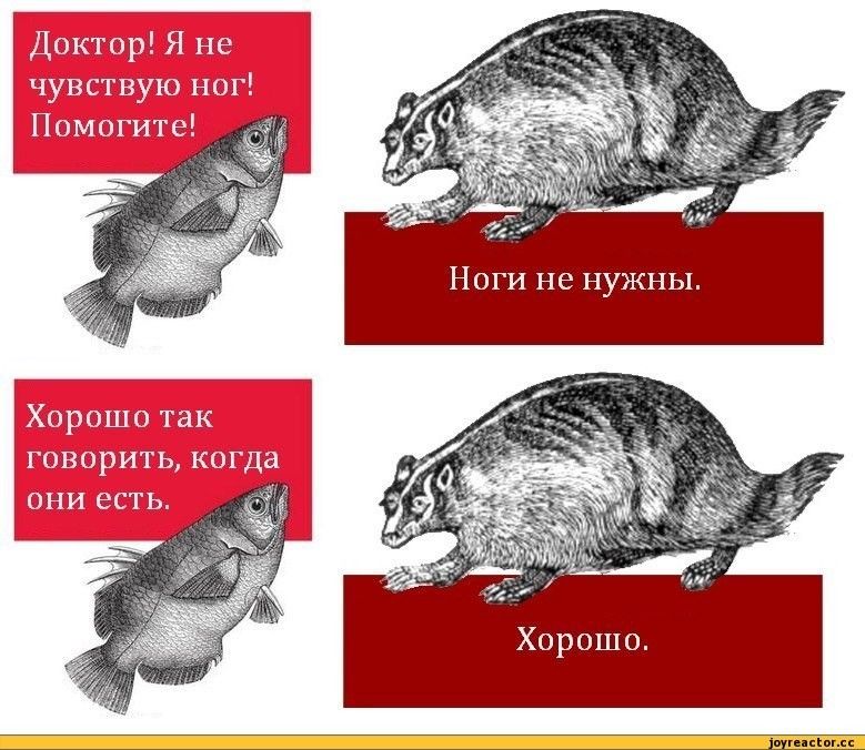 126363.jpg
