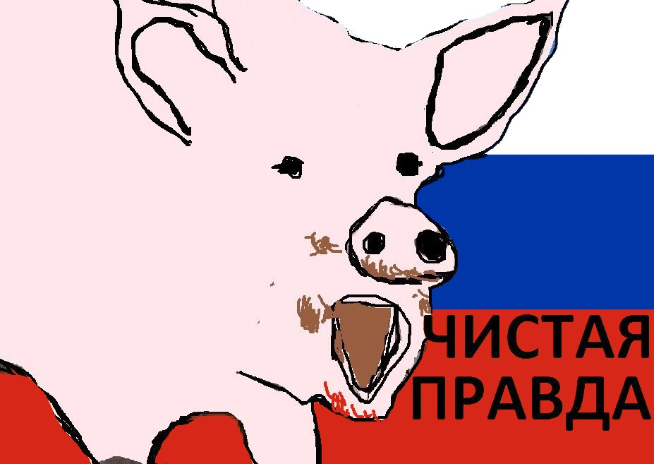 12643670.jpg