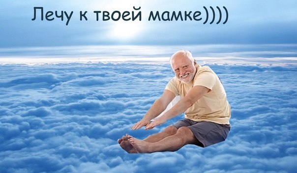 12664345.jpg