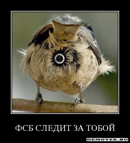 1282588847_e5x6v3w44hrg.jpg