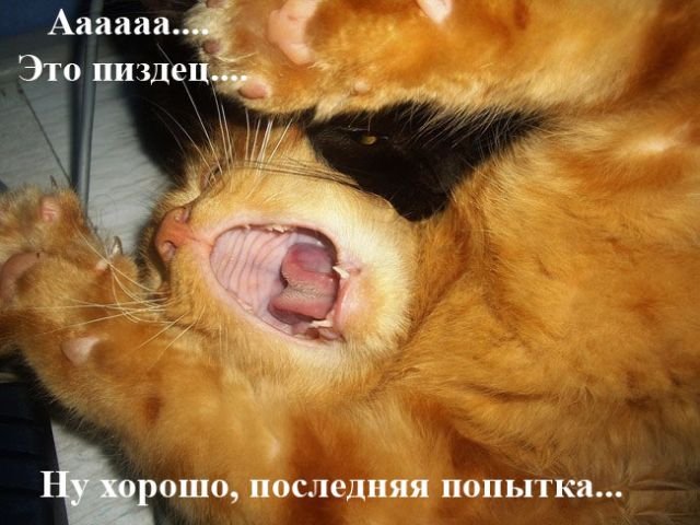 1287685457_25.jpg