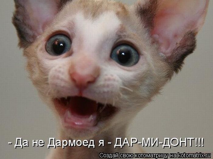 1299824421_kotomatrix_06.jpg