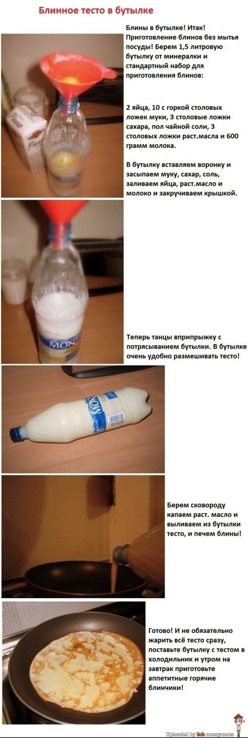 .jpg