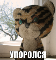 135372204980000s[1].png