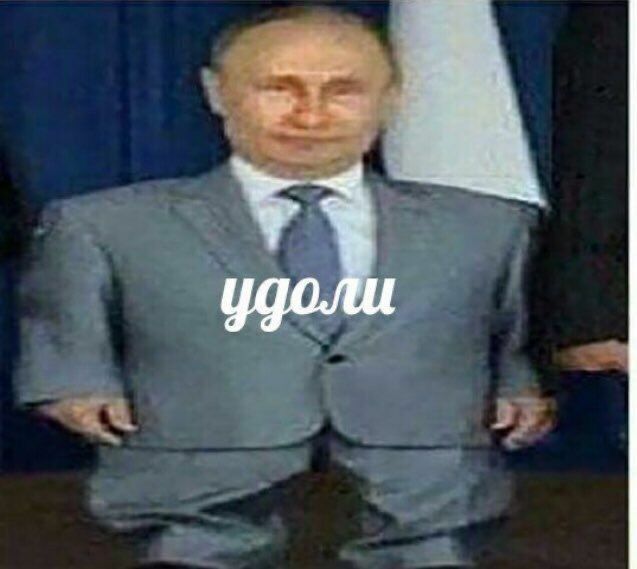 13674263.jpg