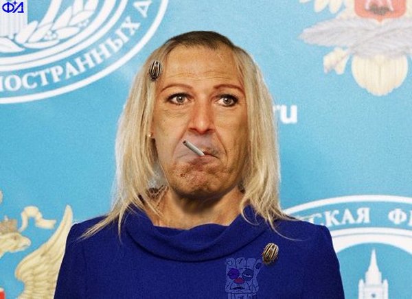 13677547.jpg