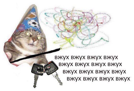.jpg
