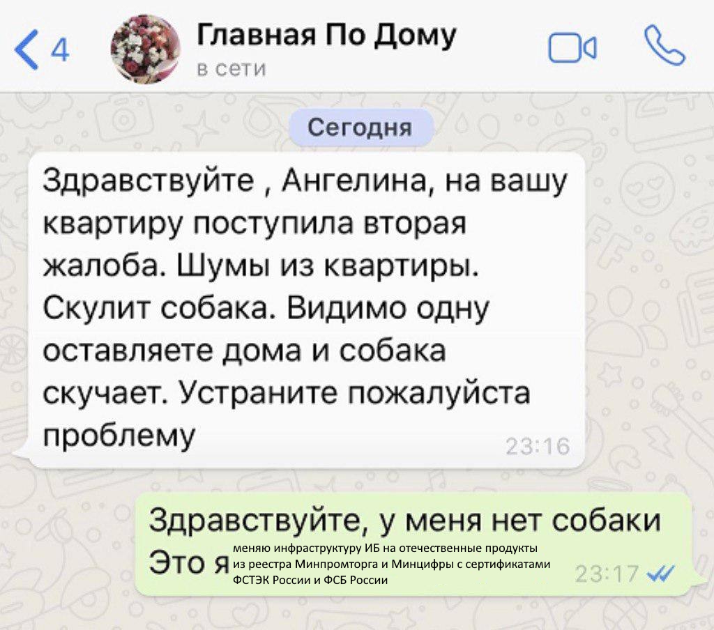 .jpg