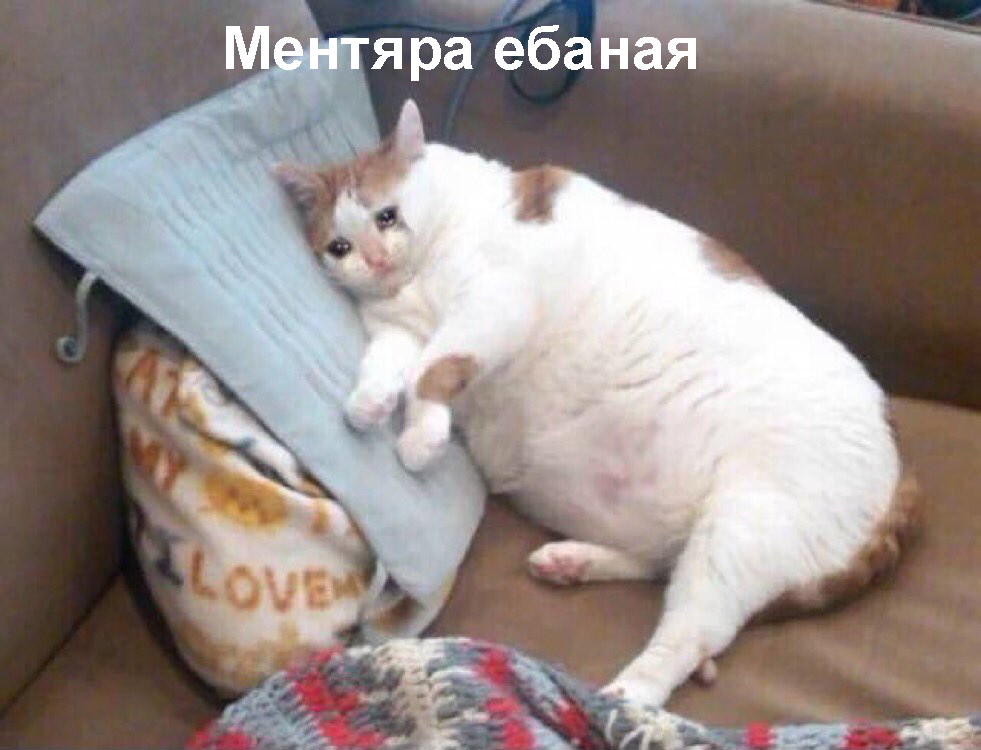 1476772041569.jpg