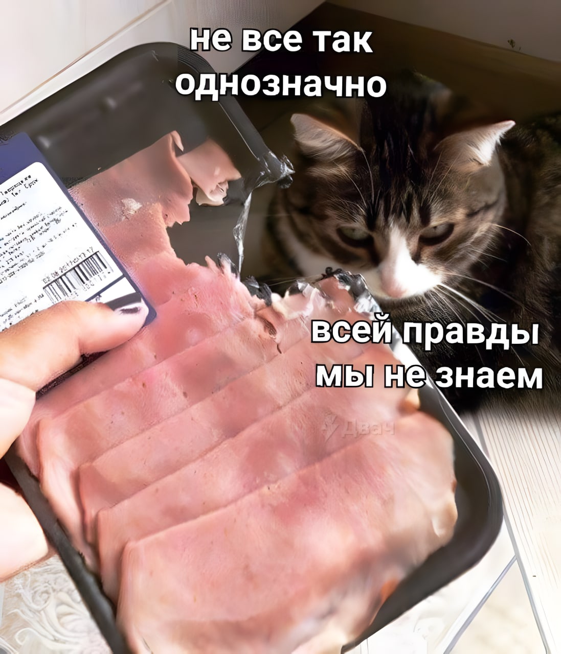 1478830.jpg