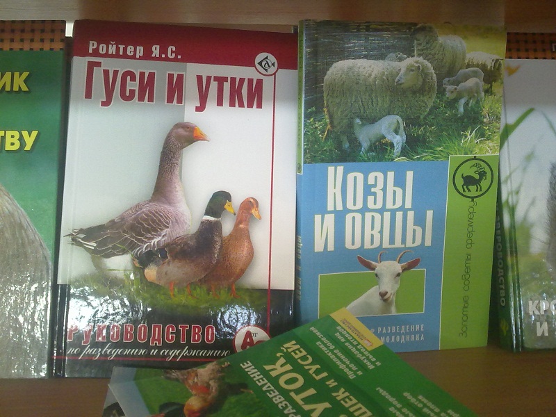 15032012012.jpg