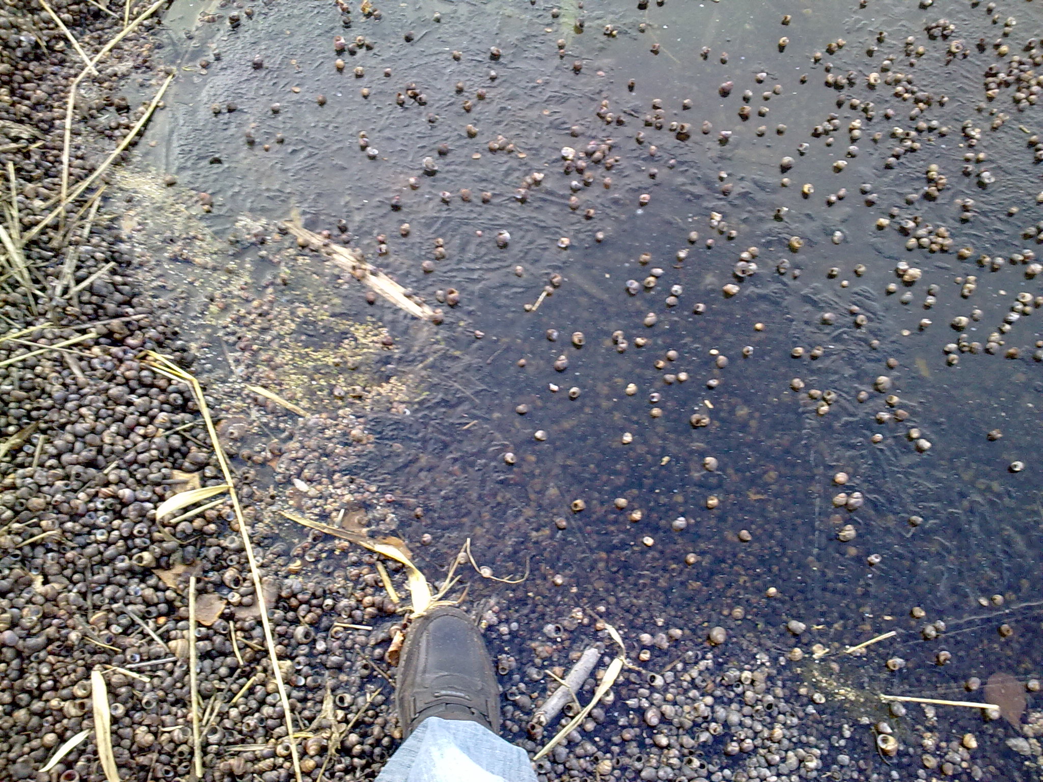 15102012004.jpg