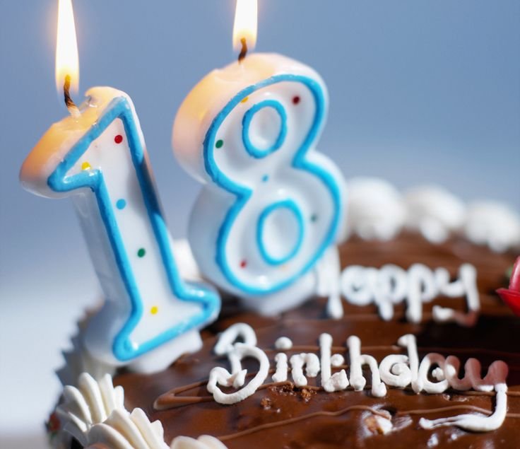 1535063354_18-plemyanniku.jpg
