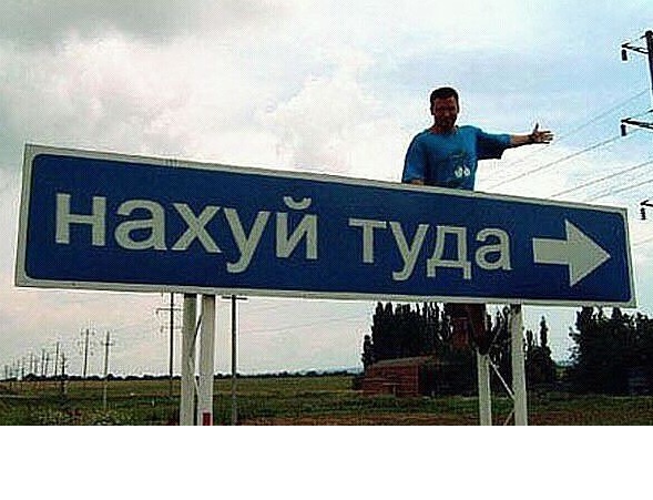 .jpg