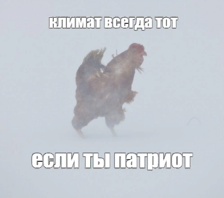 15904821760680.png