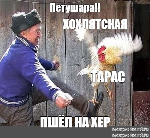 16584785318840.png