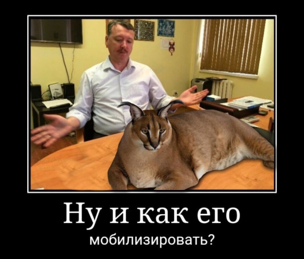 16630709558660.jpg