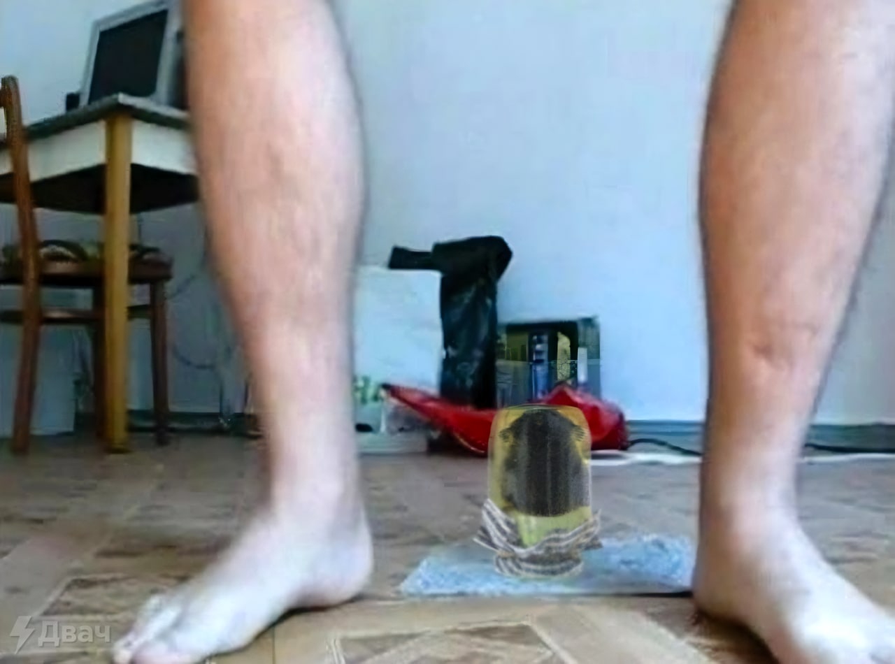 16711826552240.jpg